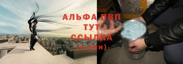 шишки Белоозёрский