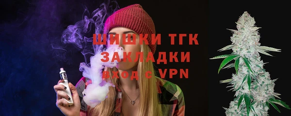 шишки Белоозёрский
