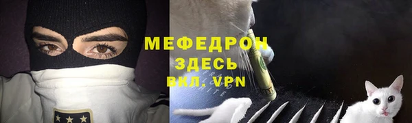 шишки Белоозёрский