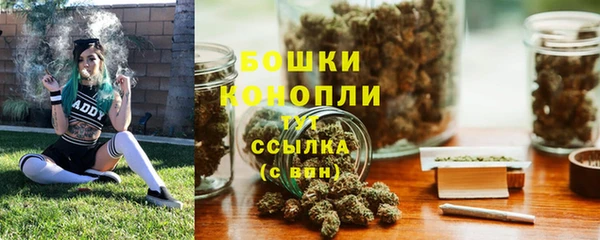 шишки Белоозёрский