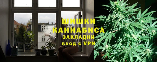 шишки Белоозёрский
