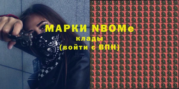 шишки Белоозёрский