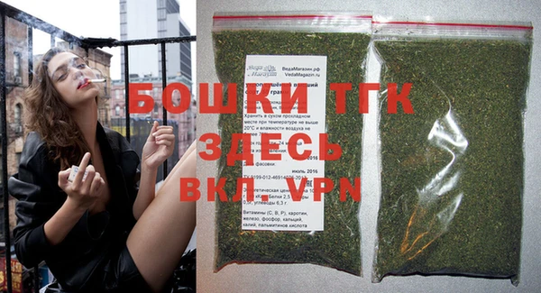 шишки Белоозёрский
