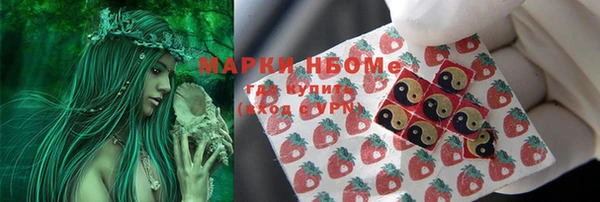 кокс Белокуриха