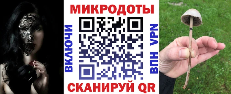Псилоцибиновые грибы прущие грибы  blacksprut как войти  Пестово  купить наркотики цена 